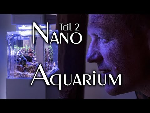 Nano Salzwasseraquarium Teil 2