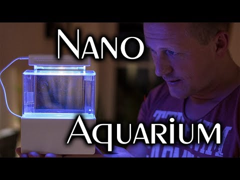 Nano Salzwasseraquarium Teil 1