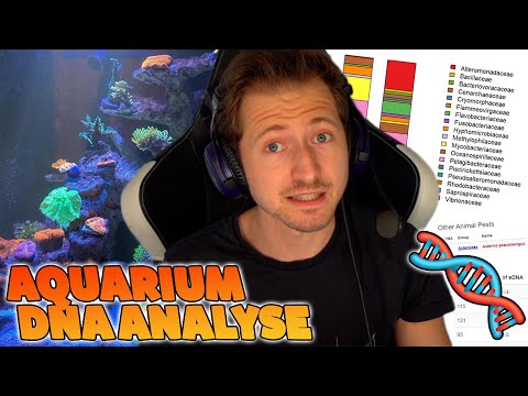 DNA ANALYSE vom BOX AQUARIUM!