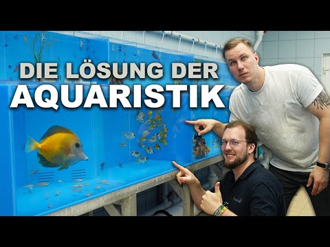 Ist das die Lösung der MEERWASSERAQUARISTIK? + Weltpremiere von TMC Programm bei Neytrop!