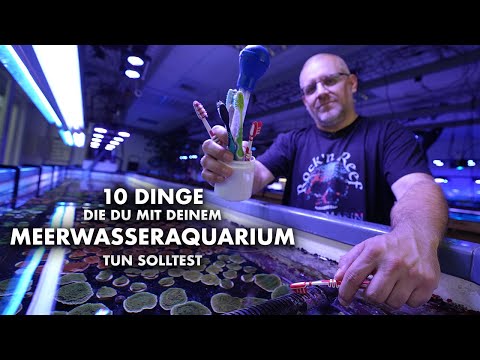 10 DINGE, die du mit deinem MEERWASSERAQUARIUM tun solltest!