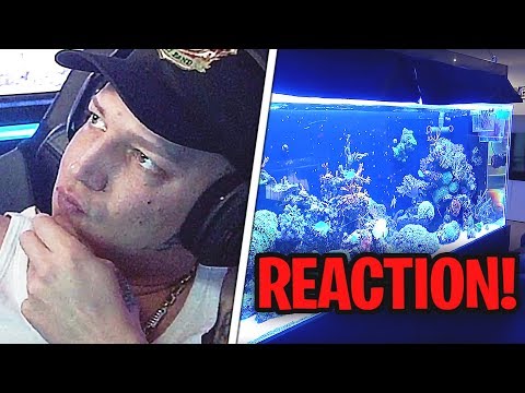 MontanaBlack REAGIERT auf ein 720L Meerwasser AQUARIUM!😱 MontanaBlack Reaktion