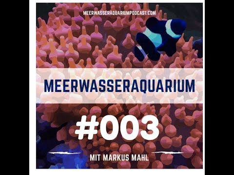 Biopelletfilter eine sinnvolle Alternative zur Nitratreduktion Im Meerwasseraquarium?